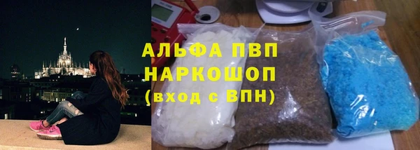 стаф Дмитров