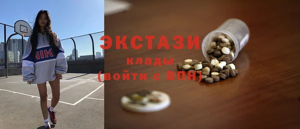 стаф Дмитров