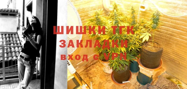 стаф Дмитров