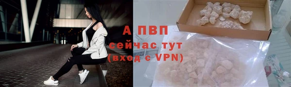 дурь Новодвинск