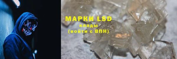 стаф Дмитров