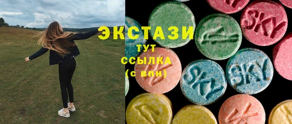 стаф Дмитров