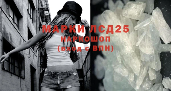 стаф Дмитров