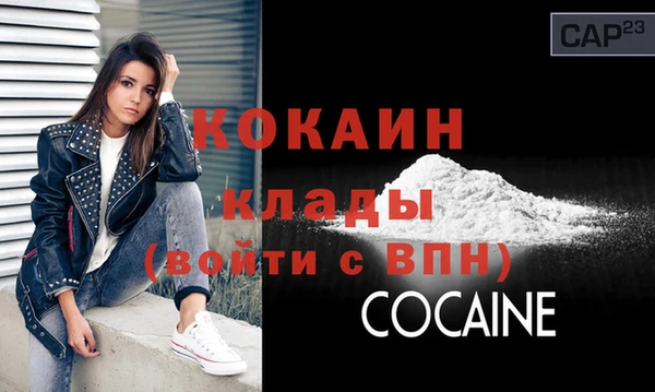 стаф Дмитров