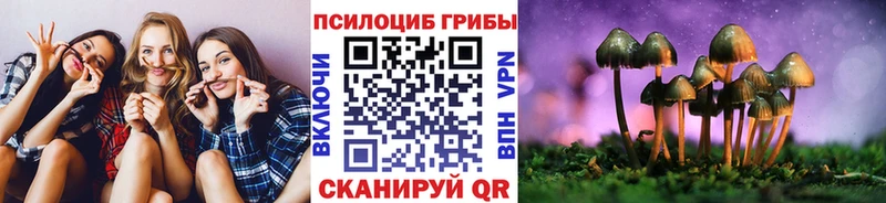 Галлюциногенные грибы Cubensis  Купить где  Железногорск-Илимский 